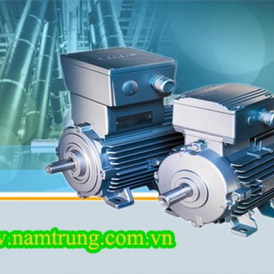 động cơ chống cháy nổ siemens - động cơ phòng nổ siemens