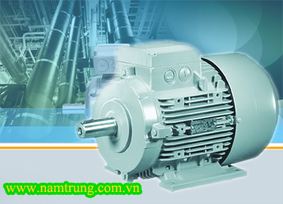 ĐỘNG CƠ (MOTOR) ĐIỆN SIEMENS 1LA9