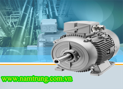 ĐỘNG CƠ ĐIỆN SIEMENS LOẠI 1MJ6, 1MD5, 1MD6, 1MJ8